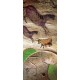 Kakemono chevaux préhistoire  - 180 x 80 cm - Toile M1 avec structure  X- Banner