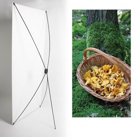 Kakemono champignons automne - 180 x 80 cm - Toile M1 avec structure  X- Banner