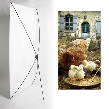 Kakemono Poules automne - 180 x 80 cm - Toile M1 avec structure  X- Banner