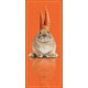 Kakemono Lapin orange - 180 x 80 cm - Toile M1 avec structure  X- Banner