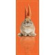 Kakemono Lapin orange - 180 x 80 cm - Toile M1 avec structure  X- Banner