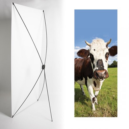 Kakemono normandie vache - 180 x 80 cm - Toile M1 avec structure  X- Banner