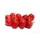 Sachet de 12 grosses fraises diam: 5 cm