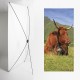 Kakemono Auvergne vache - 180 x 80 cm - Toile M1 avec structure  X- Banner
