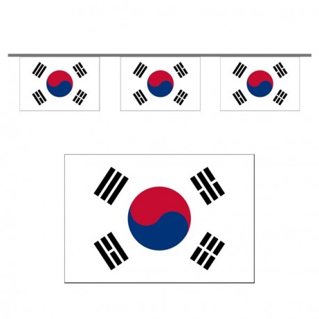 Guirlande Corée du Sud- 10 fanions 21 x 21 cm - papier - Long.500 cm