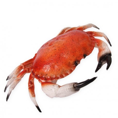 Crabe 3D - pvc -32 x 22 cm