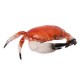 Crabe 3D - pvc -32 x 22 cm