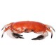 Crabe 3D - pvc -32 x 22 cm