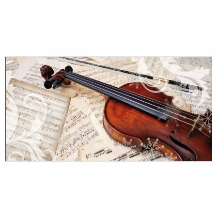 Affiche Violon recto verso 80 x 40 cm PVC M1*