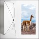 Kakemono AMS lama  - 180 x 80 cm - Toile M1 avec structure  X- Banner