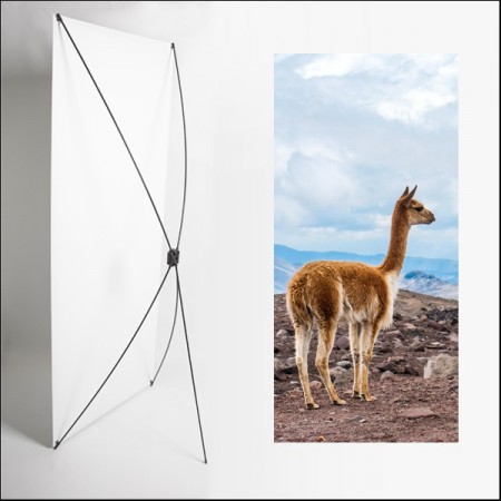 Kakemono AMS Lama - 180 x 80 cm - Toile M1 avec structure X- Banner