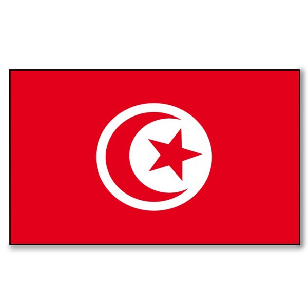 Drapeau Tunisie - tissu - 90 x 150cm - Décors du monde