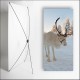 Kakemono scandinavie Renne - 180 x 80 cm - Toile M1 avec structure  X- Banner