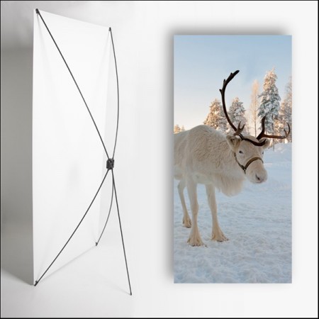 Kakemono scandinavie Renne - 180 x 80 cm sur Toile M1 avec structure  X- Banner