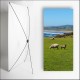 Kakemono Irlande Moutons  - 180 x 80 cm - Toile M1 avec structure  X- Banner