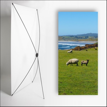 Kakemono Irlande Moutons - 180 x 80 cm - Toile M1 avec structure X- Banner