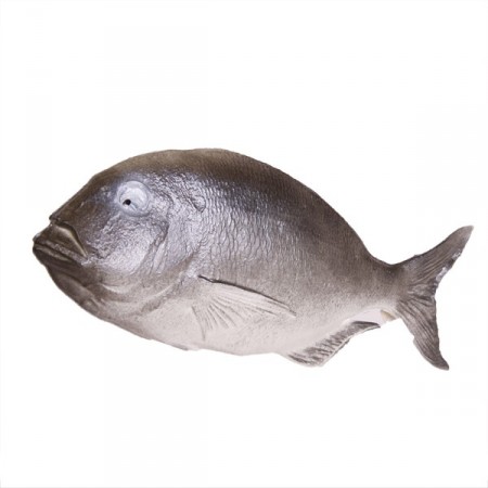 Poisson gris - pvc - Longueur 38 cm