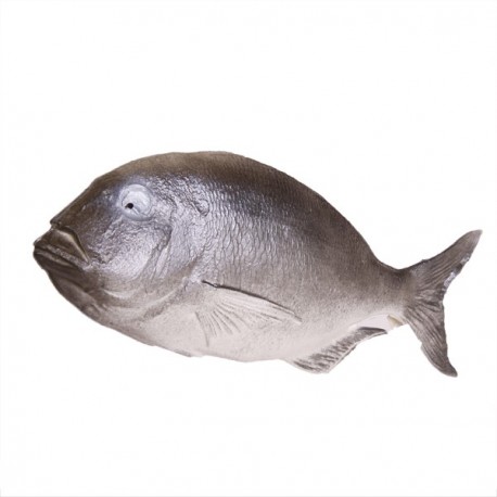 Poisson gris - pvc - Longueur 38 cm