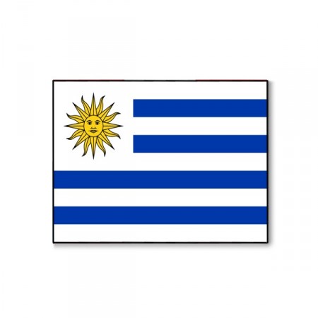 Drapeau Uruguay - tissu - 60 x 90 cm