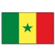 Drapeau Sénégal 90 X 150  cm - tissu