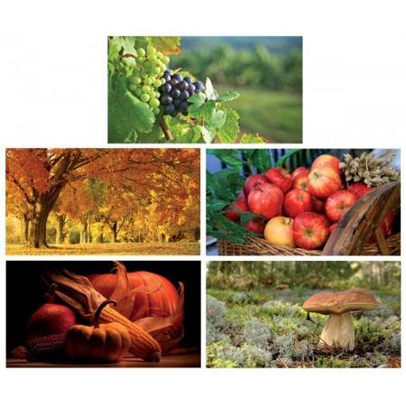 Affiches Automne x 6 modèles 33x 60 cm 250 g