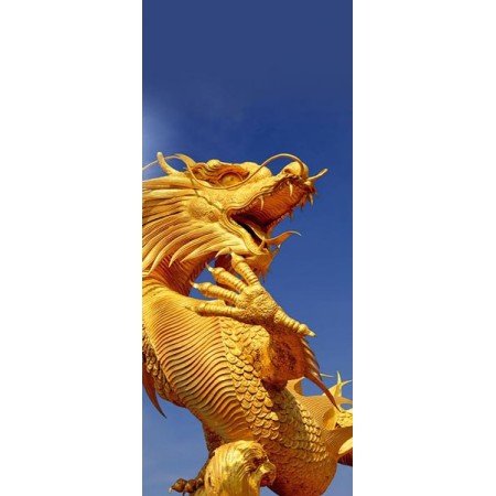 Kakemono Chine DRAGON- 180 x 80 cm - Toile M1 avec structure  X- Banner