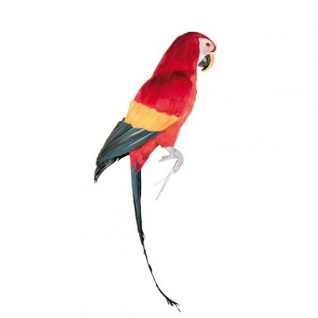 Perroquet multicolore à fixer - plumes naturelles - H.63 cm