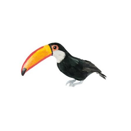 Toucan - plumes naturelles  - 9 x 35 x 19 cm