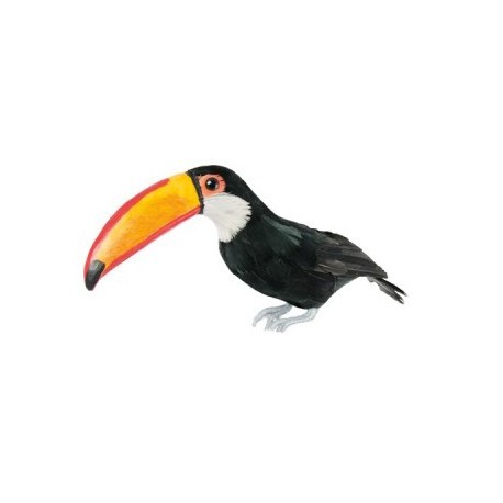 Toucan - plumes naturelles  - 9 x 35 x 19 cm