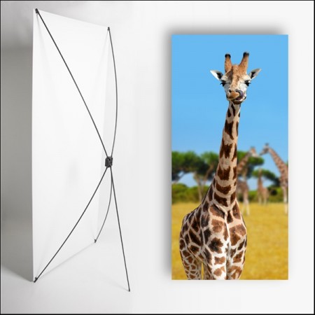 Kakemono Afrique Girafe - 180 x 80 cm - Toile M1 avec structure X- Banner