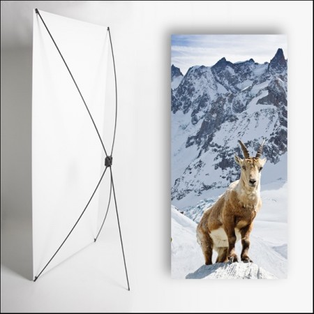 Kakemono Montagne Chamoix - 180 x 80 cm - Toile M1 avec structure  X- Banner