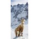 Kakemono Montagne Chamoix - 180 x 80 cm - Toile M1 avec structure  X- Banner