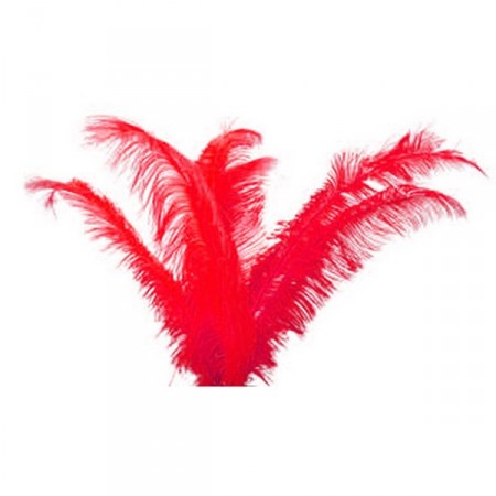 Plumes rouges - sachet de 3 - Long 60cm