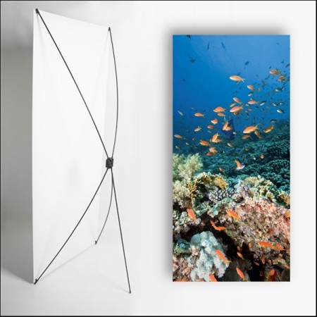 Kakemono Exotique Fond Marin - 180 x 80 cm - Toile M1 avec structure X- Banner