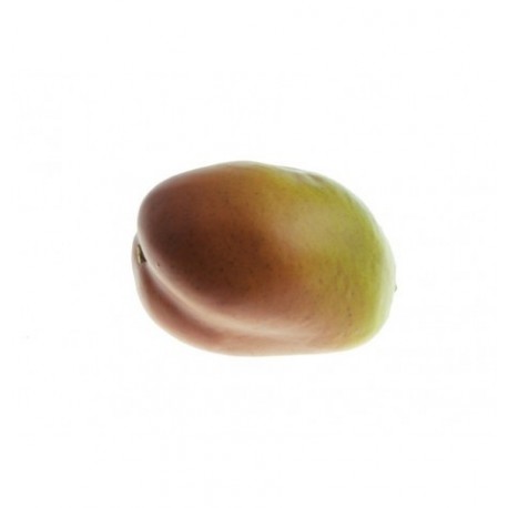 Mangue - polystyrène - longueur 10 cm