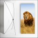 Kakemono Afrique Lion  - 180 x 80 cm - Toile M1 avec structure  X- Banner