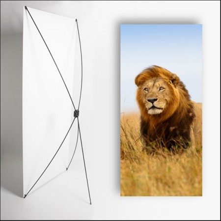 Kakemono Afrique Lion - 180 x 80 cm - Toile M1 avec structure X- Banner