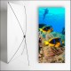 Kakemono Exotique poisson - 180 x 80 cm sur Toile M1 avec structure  X- Banner