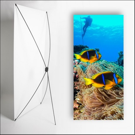 Kakemono Exotique poisson - 180 x 80 cm sur Toile M1 avec structure  X- Banner