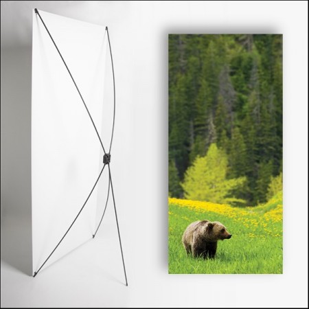 Kakemono Canada Ourson - 180 x 80 cm sur Toile M1 avec structure X- Banner