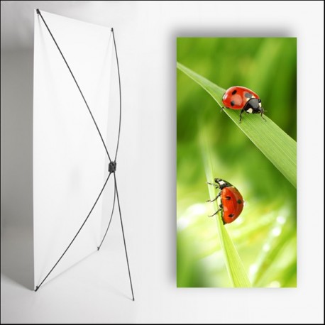 Kakemono Rouge Coccinelle - 180 x 80 cm - Toile M1 avec structure  X- Banner