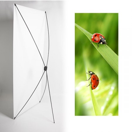 Kakemono coccinelle - 180 x 80 cm - Toile M1 avec structure  X- Banner