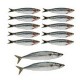 Mobiles sardines x 12 - carton - 10 de 22cm de long et 2 de 32 cm