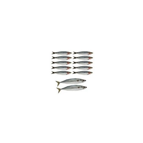 Mobiles sardines x 12 - carton - 10 de 22cm de long et 2 de 32 cm