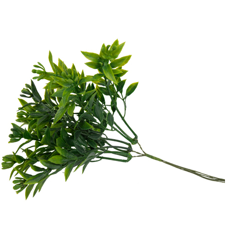 Bouquet de 6 mini branches de romarin vert 16cm