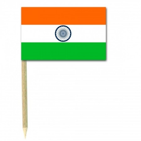 Drapeaux mini Inde x 50 - papier-3.5 x 2.5 cm (pic en bois de 6.5 )