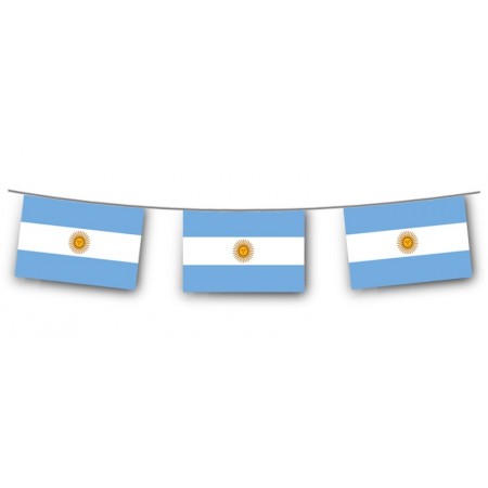 Guirlande drapeaux Argentine 10 fanions 20 x 30cm - papier Long. 520cm