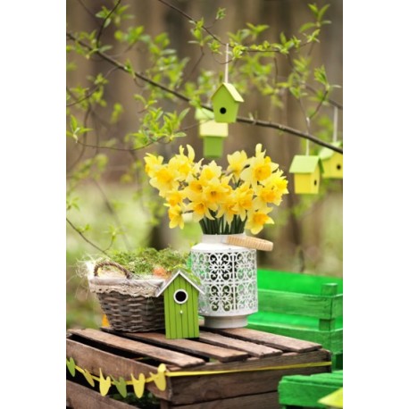 Visuel Jonquilles- PVC - 30 x 20 cm