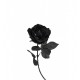 Vase gothique - roses blanches et noires - H.30 cm