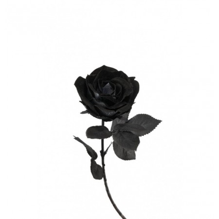 Vase gothique - roses blanches et noires - H.30 cm